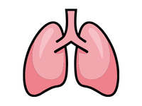  Lung Icon